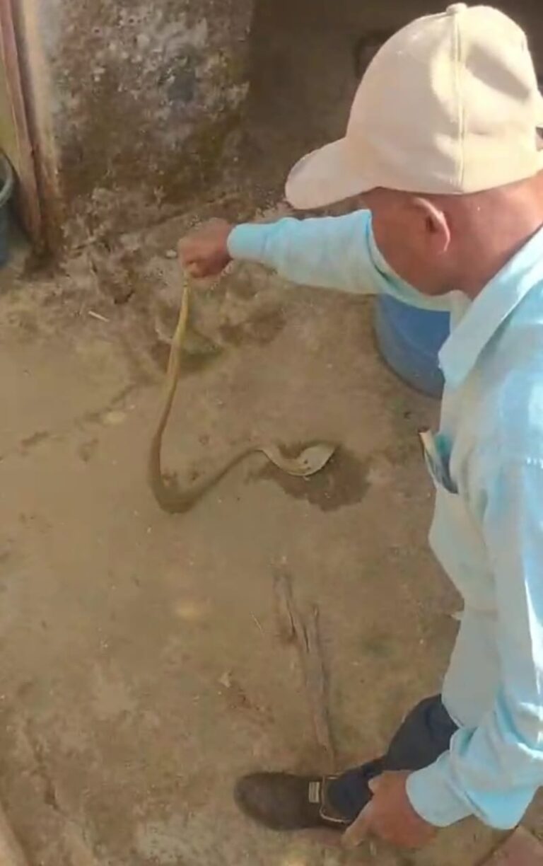 WhatsApp Image 2026-03-08 at 16.32.22